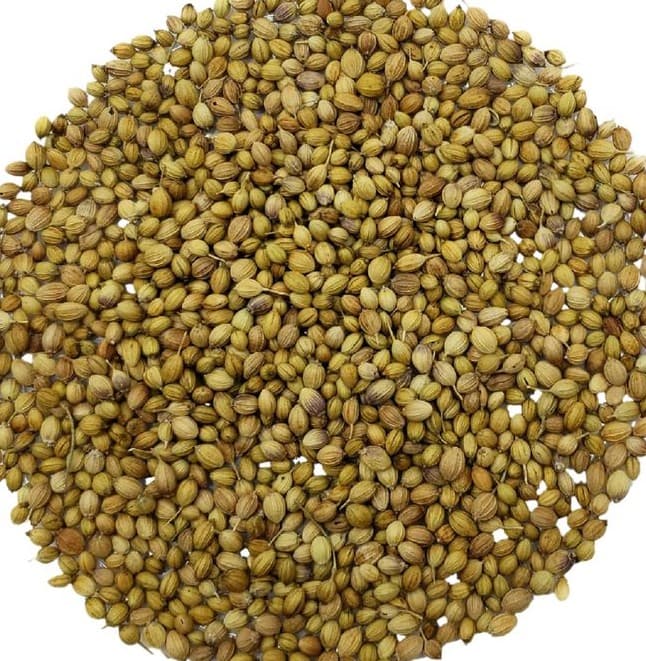 Coriander Seeds
