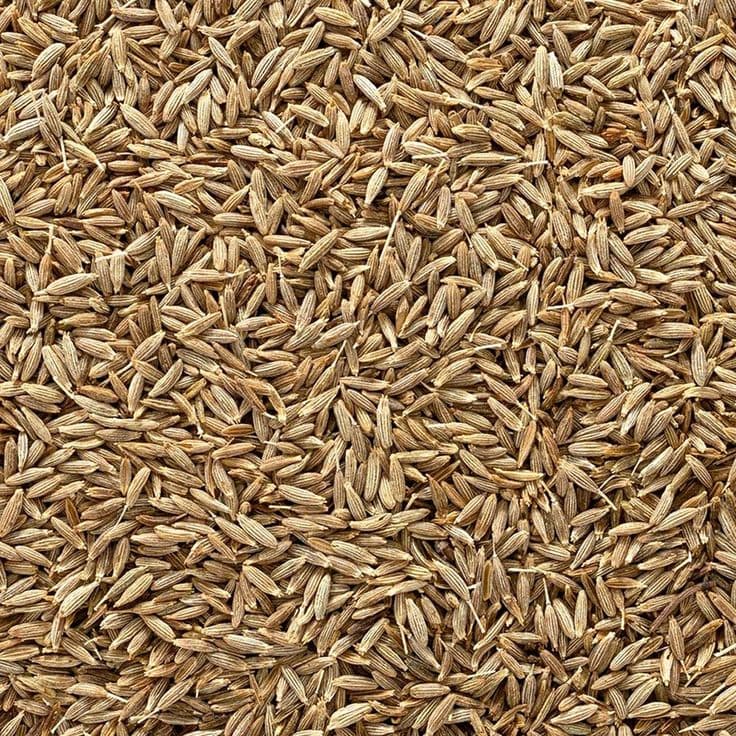 Cumin Seeds
