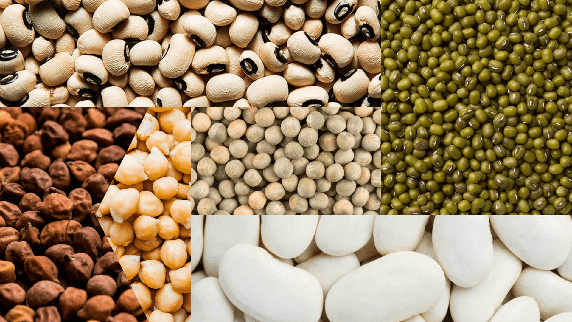 Indian Pulses