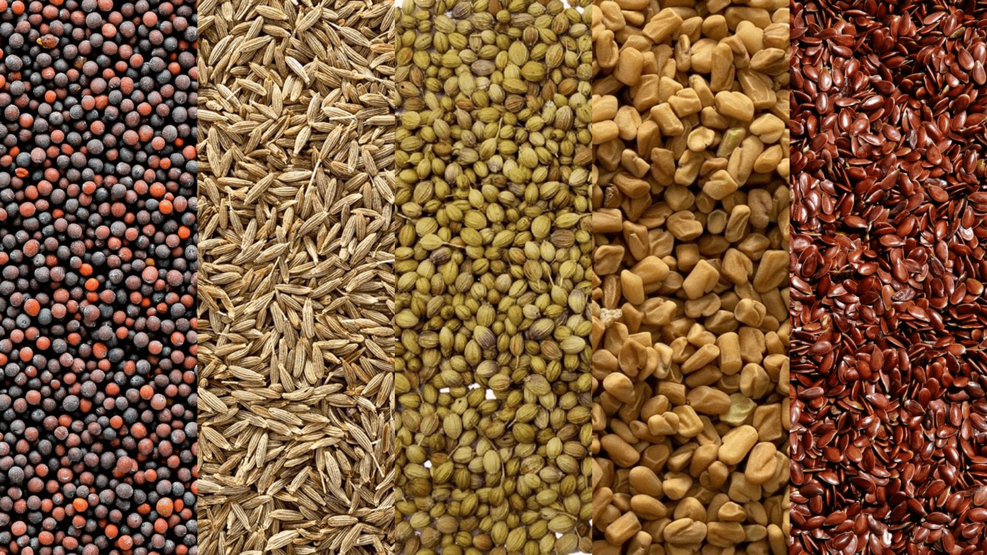 Authentic Indian Spices